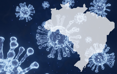 COVID-19 virus and outline of Brazil