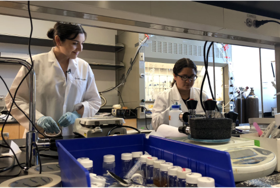 Enlace researchers in a lab